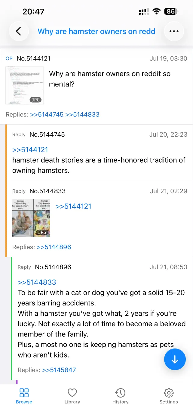 A 4chan thread in PocketChan with quoted replies